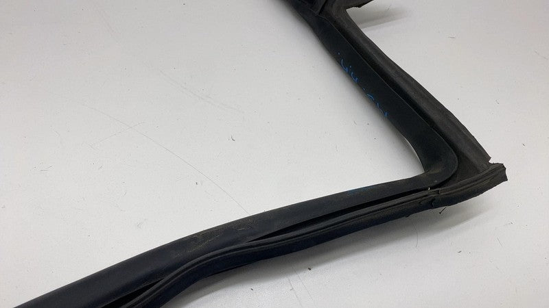 2017-2023 Tesla Model 3 Rear Passenger Right Door Body Weatherstrip Rubber Seal