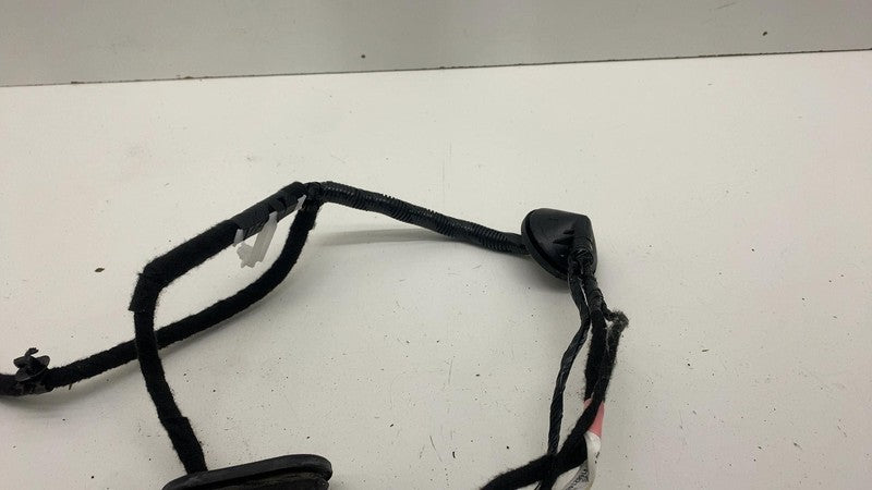 ⭕ 2021-2023 Tesla Model 3 Rear Left Door Wiring Harness Cable Wire 206