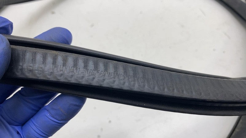 31662569 ⭕ 21-23 Polestar 2 Front Passenger Door Body Weatherstrip Seal Right RH 31662569