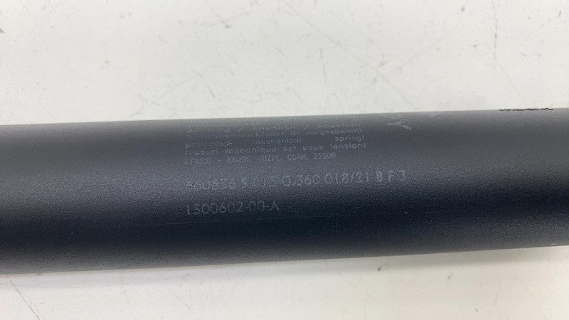 ⭕ 2020-2024 Tesla Model Y Rear Passenger Side Liftgate Strut Right 150