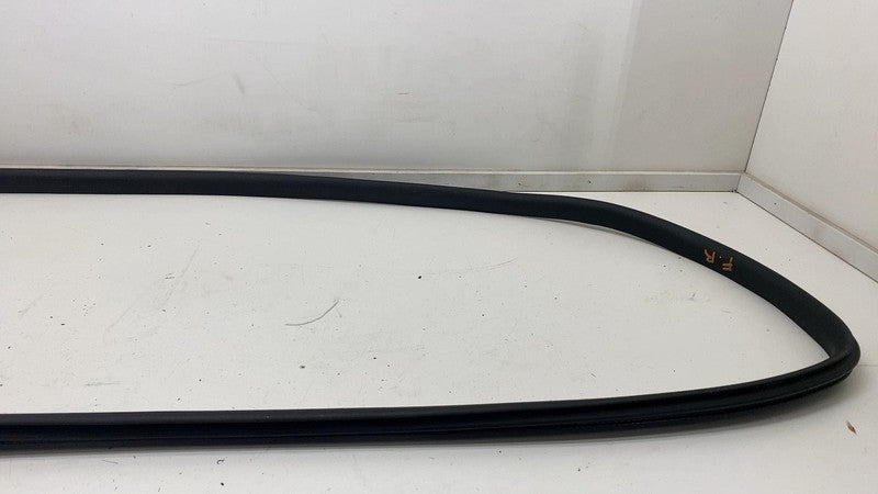 2020-2022 Tesla Model Y Front Passenger Side Door Weatherstrip Rubber Seal Right