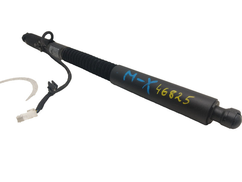 ⭕ 16-25 Model X Front Left/Rear Right Primary Door Lift Shock Strut 10