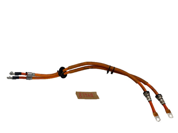 102256200B ⭕ 12-15 Model S Drive Inverter to High Voltage Junction Box Cable 1022562-00-B