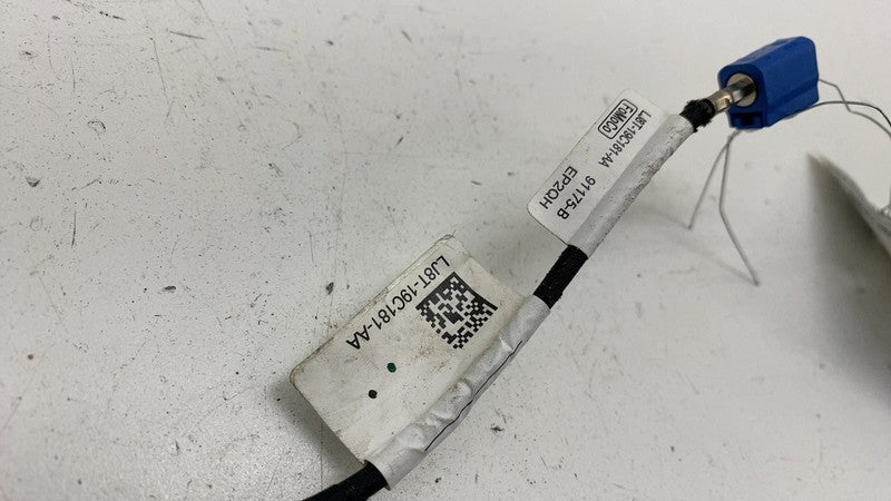 LJ8T19C181AA ⭕ 21-24 Ford Mustang Mach-E Radio Antenna Signal Splitter Wiring LJ8T-19C181-AA