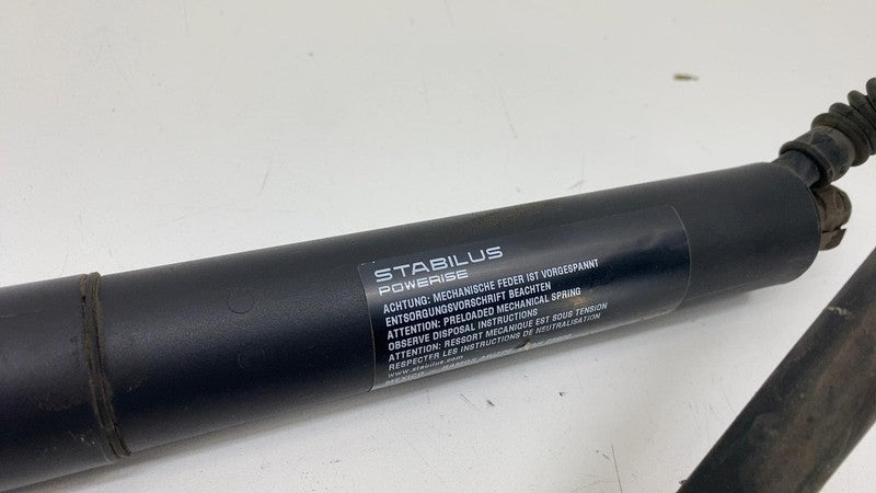 ⭕ 12-20 Tesla Model S Rear Right Liftgate Trunk Power Shock Strut 6006