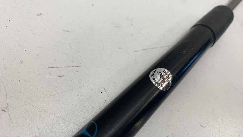 A2429800564 ⭕ 14-17 Mercedes-Benz B-Class Front Left & Right Hood Strut Damper A2429800564