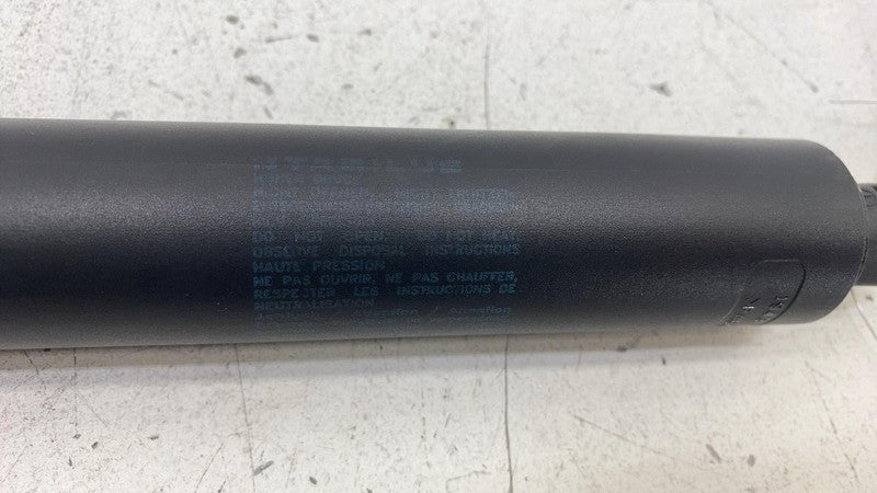 ⭕ 2012-2024 Tesla Model S Rear Left Liftgate Trunk Spring Strut LH 600