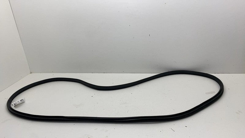 68291607 ⭕ 2019-2025 Ram 1500 Front Left Door Body Weatherstrip Rubber Seal OEM 68291607