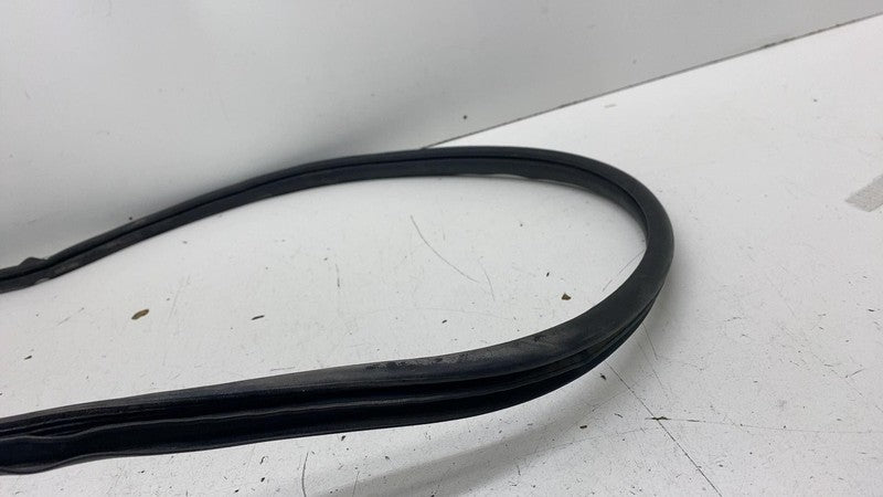 ⭕ 2023-2025 Toyota Prius Rear Right Side Door Body Weatherstrip Rubber