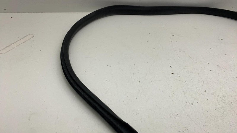 ⭕ 24-25 Model 3 Rear Right Primary Body Weatherstrip Rubber Seal RH 19