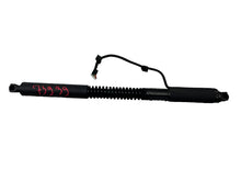 ⭕ 16-25 Model X Front Left/Rear Right Primary Door Lift Shock Strut 1063440-01-D