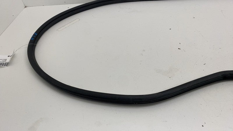 68291607 ⭕ 2019-2025 Ram 1500 Front Left Door Body Weatherstrip Rubber Seal OEM 68291607