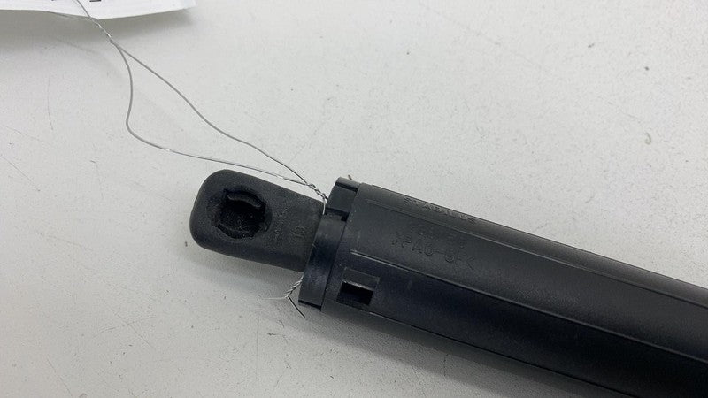 ⭕ 2012-2024 Tesla Model S Rear Left Liftgate Trunk Spring Strut LH 600