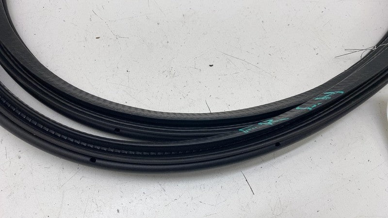 ⭕ 21-23 Polestar 2 Front Driver Side Door Body Weatherstrip Seal Left 