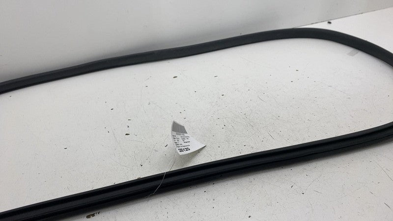 ⭕ 20-24 Model Y Front Left or Right Primary Body Weatherstrip Seal 149