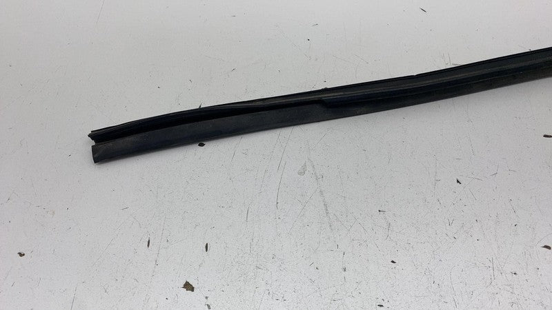 ⭕ 2023-2025 Toyota Prius Rear Driver Side Door Window Run Channel Seal Left OEM