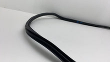 2019-2021 BMW 530e G30 Front Passenger Side Door Weatherstrip Rubber Seal Right