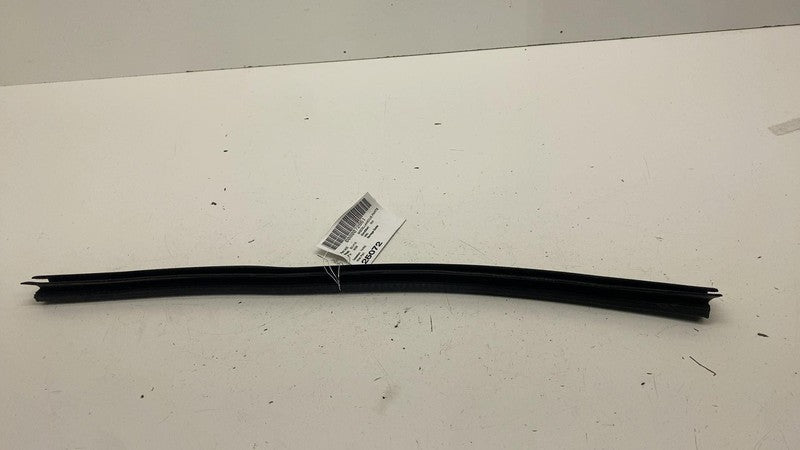 ⭕ 19-25 Chevy Silverado 1500 Front Left Door Window Weatherstrip Seal 