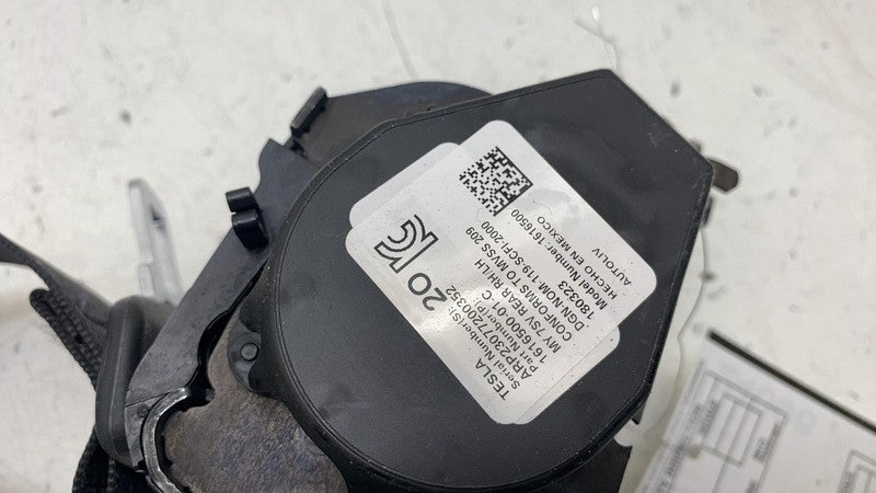 ⭕ 20-23 Model Y MY Rear Left or Right 2nd Row Seat Belt & Retractor 16