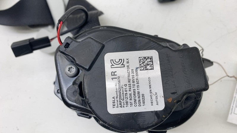 1081279 01 G ⭕ 2017-2023 Tesla Model 3 Front Right 1st Row Seat Belt & Retractor 1081279-01-G