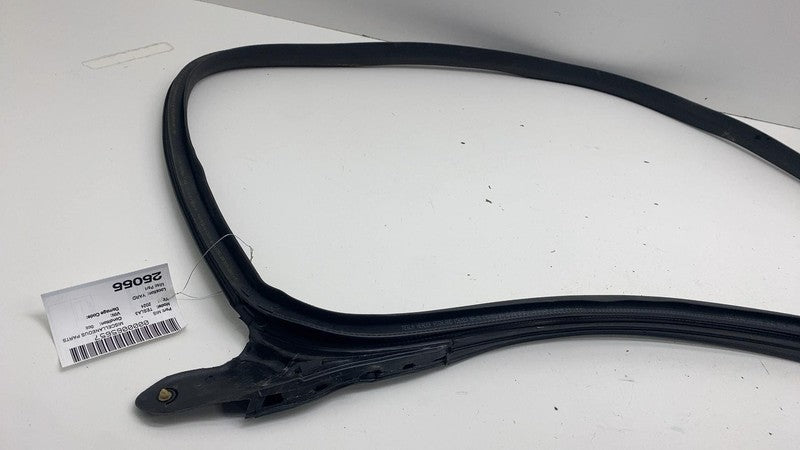 191098300E ⭕ 24-25 Model 3 Front Left Primary Body Weatherstrip Rubber Seal LH 1910983-00-E