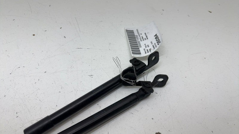 ⭕ 2017-2023 Tesla Model 3 Front Left & Right Hood Lift Shock Strut Support OEM
