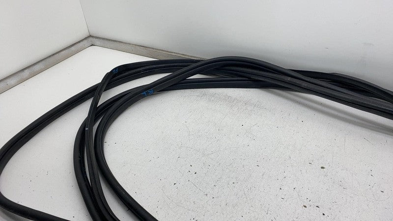 2022-2024 Kia EV6 Front & Rear Left  & Right  Door Body Weatherstrip Rubber Seal