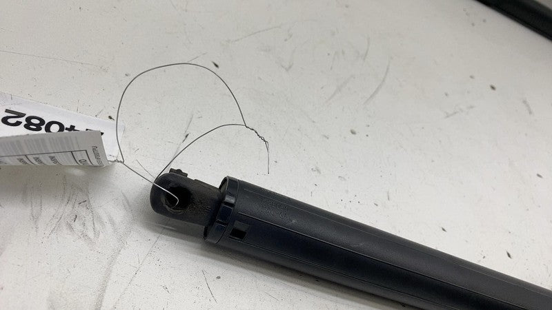 ⭕ 2012-2024 Tesla Model S Rear Left Liftgate Trunk Spring Strut LH 600