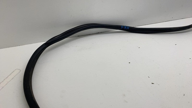 68291607 ⭕ 2019-2025 Ram 1500 Front Right Door Body Weatherstrip Rubber Seal OEM 68291607