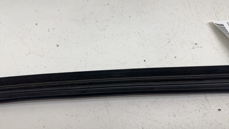 ⭕ 21-23 Polestar 2 Front Right Door Window Inner Belt Weatherstrip Sea