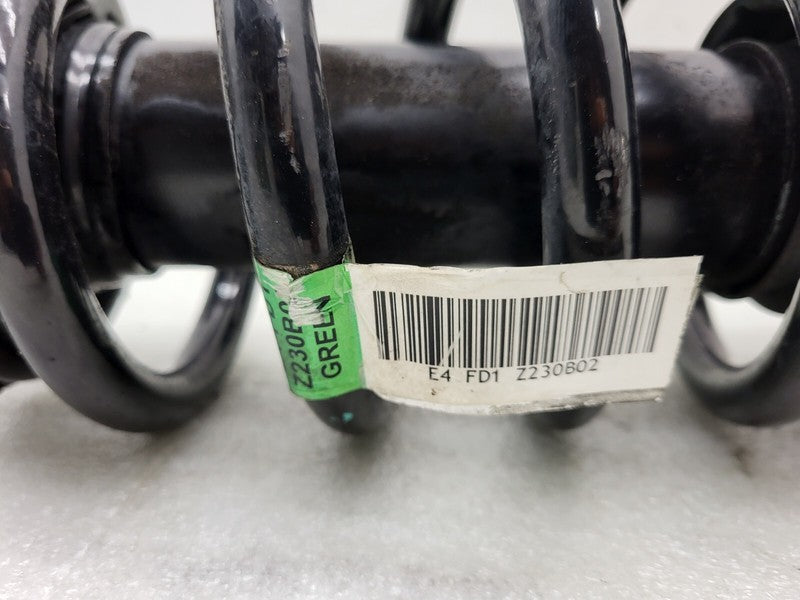 101562001E ⭕ 12-20 Model S MS Rear Left or Right Shock Strut Absorber & Spring 1015620-01-E