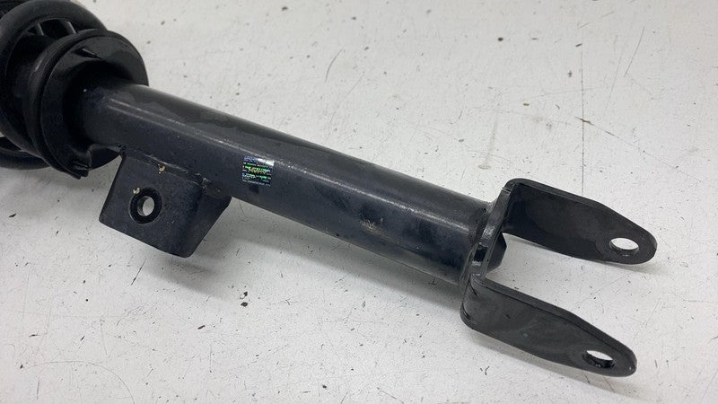 ⭕ 17-23 Tesla Model 3 Front Left Shock Strut Absorber w/ Spring & Uppe
