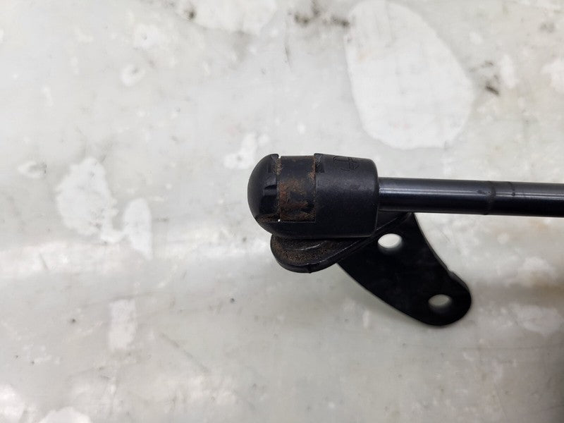 ⭕ 2012-2020 Tesla Model S Front Left or Right Bonnet Hood Lift Gas Strut 6006603