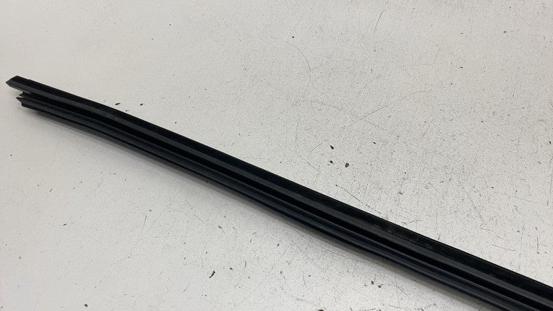 ⭕ 16-24 Tesla Model X Rear Driver Side Door Window Inner Belt Rubber S