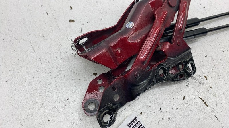 ⭕ 16-20 Model X MX Front Left & Right Bonnet Hood Hinge w/ Lift Suppor
