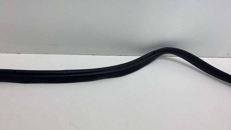 2017-2023 Tesla Model 3 Front Passenger Door Primary Weatherstrip Seal