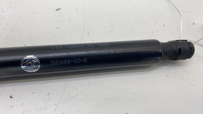 ⭕ 2017-2023 Tesla Model 3 Rear Right Trunk Lid Tailgate Shock Strut 15