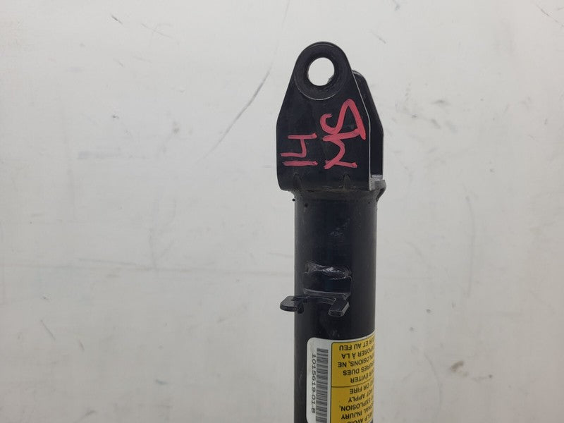 1015619 01 D ⭕ 12-15 Model S Front Suspension Left or Right Shock Strut & Spring 1015619-01-D
