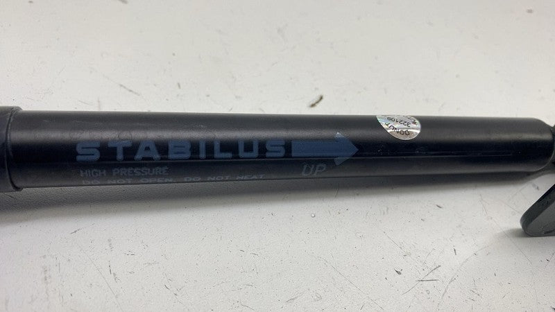 ⭕ 2024-2025 Model 3 Front Left or Right Active Hood Lift Gas Strut 164