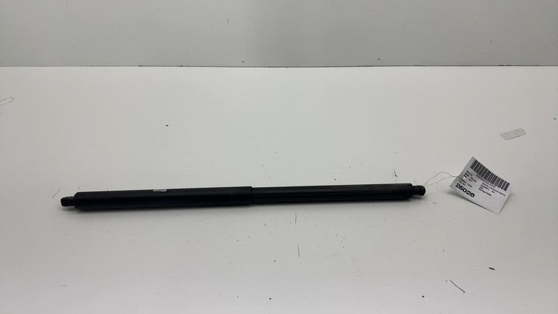 ⭕ 2012-2024 Tesla Model S Rear Left Liftgate Trunk Spring Strut LH 600