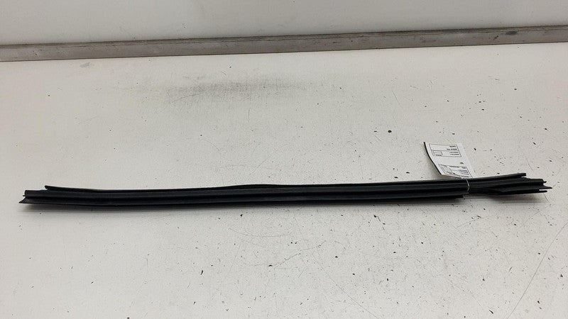⭕ 16-24 Tesla Model X Rear Driver Side Door Window Inner Belt Rubber S