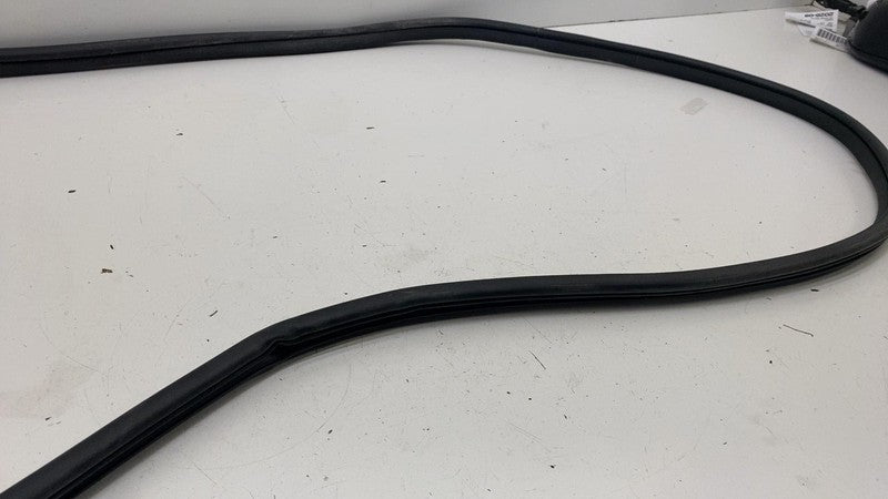 68291607 ⭕ 2019-2025 Ram 1500 Front Left Door Body Weatherstrip Rubber Seal OEM 68291607