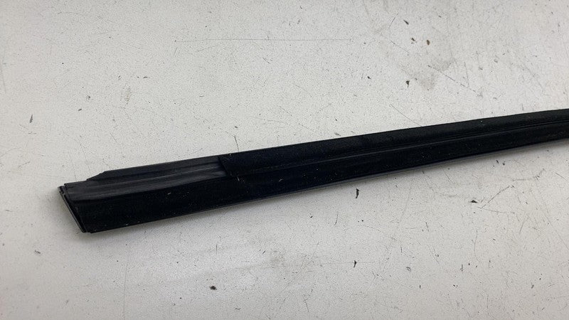 ⭕ 2024-2025 Tesla Model 3 Rear Left or Right Door Window Seal Molding 