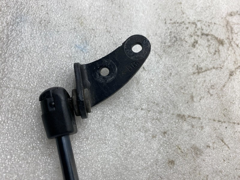 195505 0460N ⭕2012-2020 Model S Front Passenger Side Bonnet Hood Lift Gas Strut Right 6006603