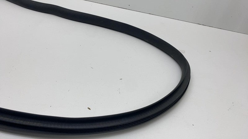 2020-2023 Tesla Model Y Front Passenger Right Door Body Weatherstrip Rubber Seal