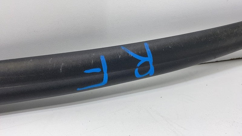 2019-2021 BMW 530e G30 Front Passenger Side Door Weatherstrip Rubber S