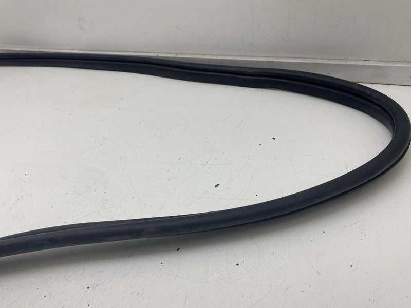 ⭕ 22-24 Hyundai Ioniq 5 Front Passenger Side Door Weatherstrip Rubber Seal Right