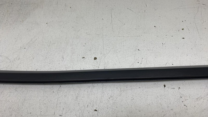 ⭕ 2024-2025 Tesla Model 3 Rear Left or Right Door Window Seal Molding 