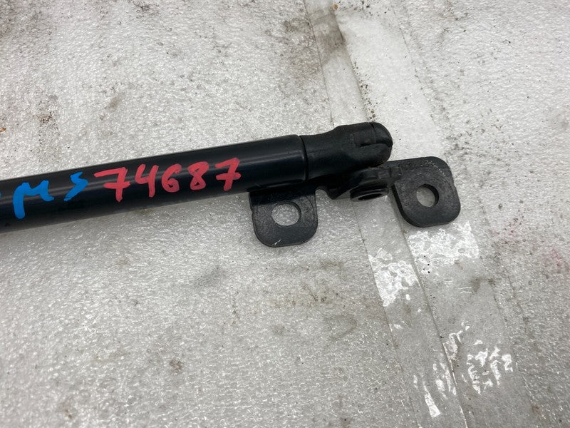 1091472 00 B ⭕ 17-23 Model 3 Front Left or Right Bonnet Hood Shock Lift Support 1091472-00-B