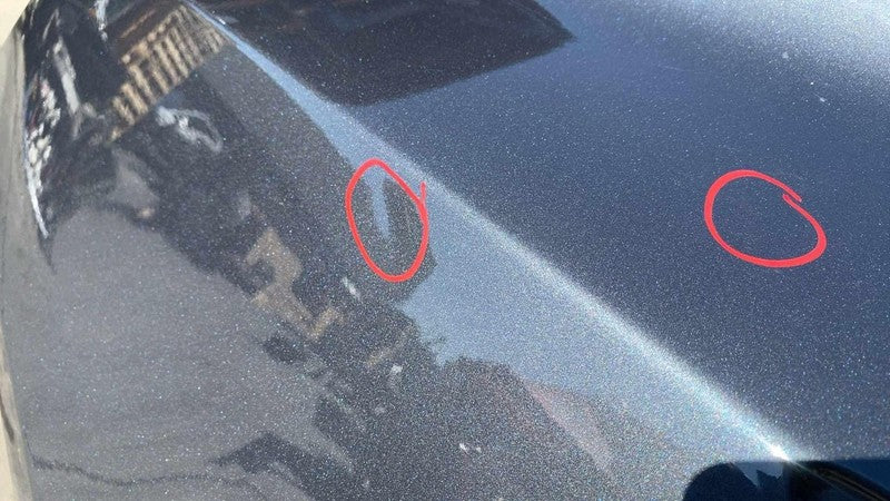 ⭕ 2017-2020 Tesla Model 3 Rear Left Quarter Panel Structural Cutout LH Gray PMNG